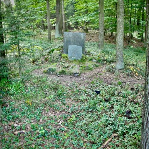 Lichtenštejnovy pamětní desky ve zdiměřském lese