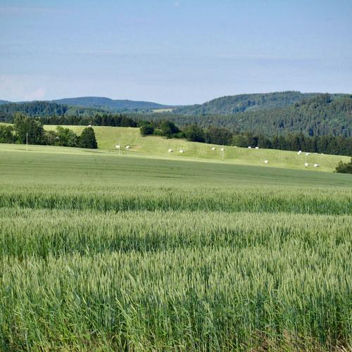 Hammerberg – hora, která přitahuje blesky
